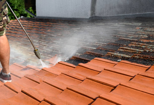 Best Deck Cleaning Services  in West Easton, PA